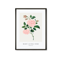 Mary Altha Nims - Damask Rose