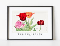Tanigami Konan - Tulip