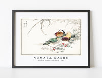 Numata Kashu - Mandarin Duck and Pearl Barley illustration from Pictorial Monograph of Birds (1885)