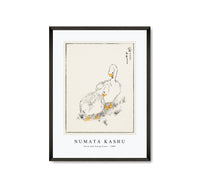 Numata Kashu - Duck and Young Grass illustration from Pictorial Monograph of Birds (1885)