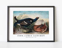 John James Audubon - English Black Cocks (1828)