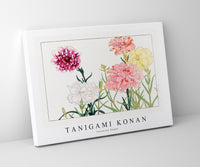 Tanigami Konan - Carnation flower