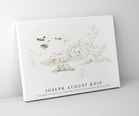 Joseph August Knip - Studieblad met planten en watervogels (study sheet with plants and waterfowl)