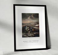 Robert John Thornton - The Snowdrops from The Temple of Flora (1807)