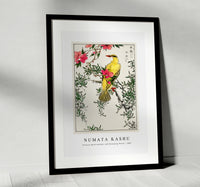 Numata Kashu - Chinese Bush-warbler and Drooping Peach iIllustration from Pictorial Monograph of Birds (1885)