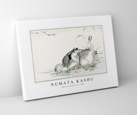 Numata Kashu - White Fronted Goose illustration from Pictorial Monograph of Birds (1885)