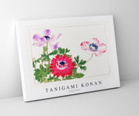 Tanigami Konan - Poppy flower