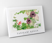 Tanigami Konan - Albizia & aristolochia flower