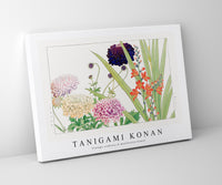 Tanigami Konan - Vintage scabiosa & montbretia flower