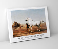 Jacques Laurent Agasse - The Wellesley Grey Arabian Led through the Desert (ca. 1810)
