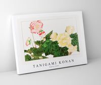 Tanigami Konan - Begonia flower