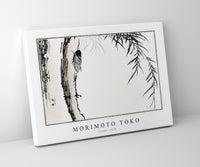 Morimoto Toko - Cicada illustration from Churui Gafu (1910)