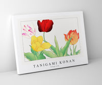 Tanigami Konan - Vintage tulip