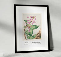 Megata Morikaga - Kiri branch with flowers and leaves during 1870–1880