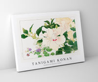 Tanigami Konan - Browallia & Hibiscus flower