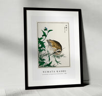 Numata Kashu - Greenshank and Bupleurum Sachalinense illustration from Pictorial Monograph of Birds (1885)