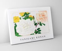 Tanigami Konan - Vintage rose