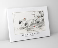 Numata Kashu - Japanese Crane and Bamboo illustration from Pictorial Monograph of Birds (1885)