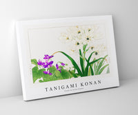 Tanigami Konan - Violet & Scilla flower
