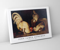 John James Audubon - Farmyard Fowls (ca. 1827)