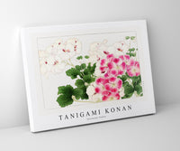 Tanigami Konan - Geranium flower
