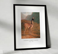 Jacques Laurent Agasse - Guanaco (ca. 1848)