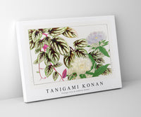 Tanigami Konan - Vintage vitis & stokesia flower