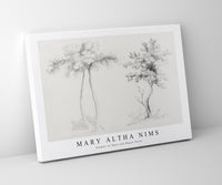 Mary Altha Nims - Studies of Upas and Maple Trees