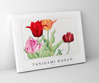Tanigami Konan - Tulip
