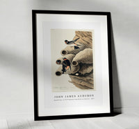 John James Audubon - Republican, or Cliff Swallow from Birds of America (1827)