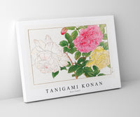Tanigami Konan - Rose flower