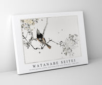 Watanabe Seitei - Perched Japanese swallow. Illustration from Seitei Kacho Gafu 1890-1891