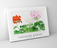 Tanigami Konan - Vintage geranium flower