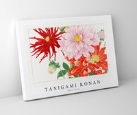 Tanigami Konan - Dahlia flower