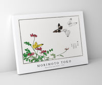 Morimoto Toko - Butterflies and flower illustration from Churui Gafu (1910)