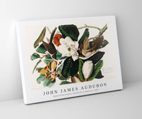 John James Audubon - Black-billed Cuckoo from Birds of America (1827)