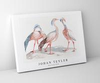 Johan Teyler - Miss Crane Birds