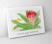 Tanigami Konan - Ananas flower