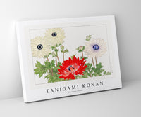 Tanigami Konan - Anemone flower