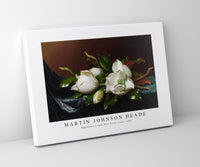 Martin Johnson Heade - Magnolias on Light Blue Velvet Cloth (ca. 1885)