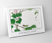 Morimoto Toko - Locust on a leaf illustration from Churui Gafu (1910)