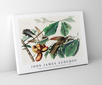 John James Audubon - Yellow-billed Cuckoo from Birds of America (1827)