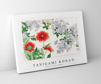 Tanigami Konan - Blanket flower & plumbago