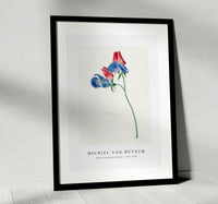 Michiel Van Huysum - Branch with two flowers1714-1760