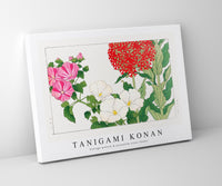 Tanigami Konan - Vintage mallow & jerusalem cross flower