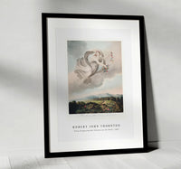 Robert John Thornton - Flora Dispensing Her Favours on the Earth from The Temple of Flora (1807)