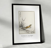 Numata Kashu - Chinese Tree-Pipit and Wheat illustration from Pictorial Monograph of Birds (1885)