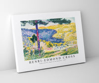 Henri Edmond Cross - Valley with Fir; Shade on the Mountain 1909