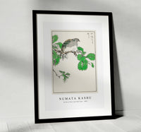 Numata Kashu - Barbary Dove and Oak Tree illustration from Pictorial Monograph of Birds (1885)