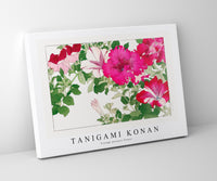 Tanigami Konan - Vintage petunia flower